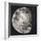 New Moon II-Sydney Edmunds-Framed Giclee Print