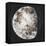 New Moon II-Sydney Edmunds-Framed Premier Image Canvas