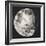 New Moon II-Sydney Edmunds-Framed Giclee Print