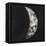 New Moon III-Sydney Edmunds-Framed Premier Image Canvas