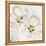 New Moroccan Blossom-Walela R.-Framed Stretched Canvas