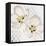 New Moroccan Blossom-Walela R.-Framed Stretched Canvas