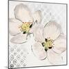 New Moroccan Blossom-Walela R.-Mounted Art Print