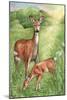 New Mother and Fawn-Melinda Hipsher-Mounted Giclee Print