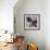 New Natural II-Sydney Edmunds-Framed Giclee Print displayed on a wall