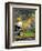 New Neighbor-Barry Kite-Framed Premium Giclee Print