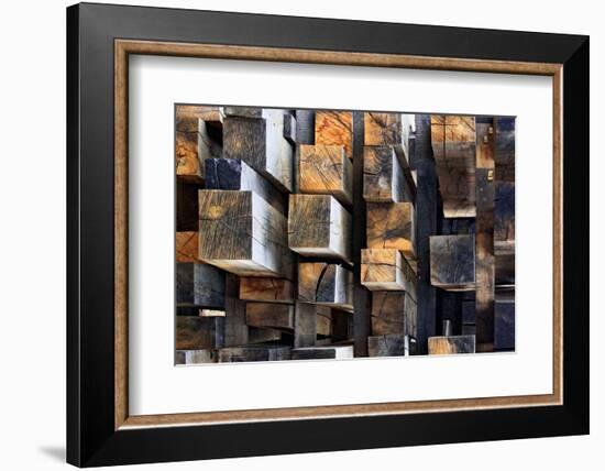 New Oak City-Francois Casanova-Framed Photographic Print