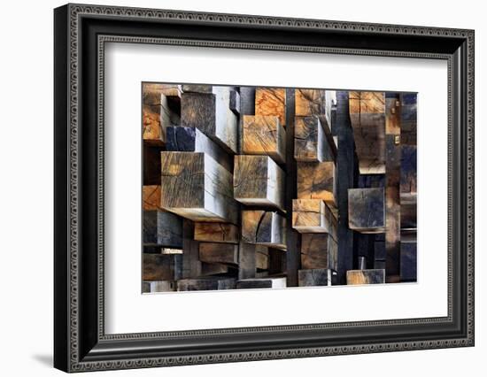 New Oak City-Francois Casanova-Framed Photographic Print