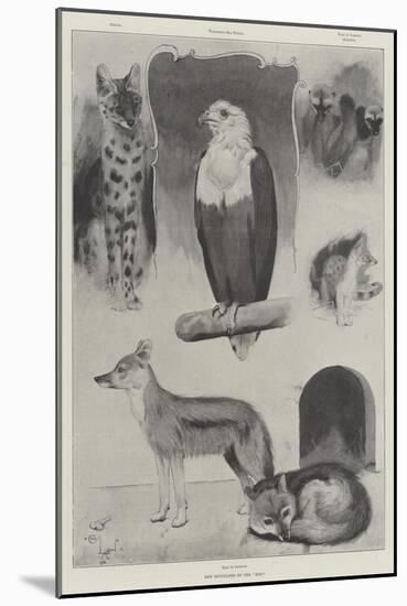 New Occupants of the Zoo-Cecil Aldin-Mounted Giclee Print