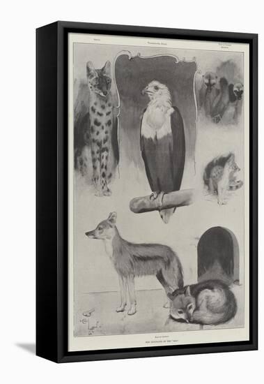 New Occupants of the Zoo-Cecil Aldin-Framed Premier Image Canvas
