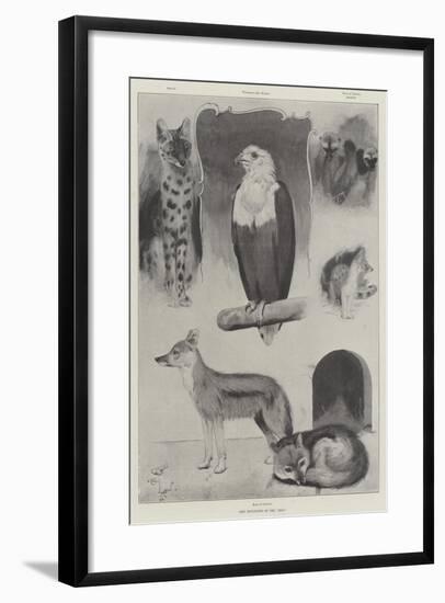 New Occupants of the Zoo-Cecil Aldin-Framed Giclee Print