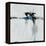 New Order II-Sydney Edmunds-Framed Premier Image Canvas