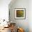 New Organic II-Patricia Pinto-Framed Premium Giclee Print displayed on a wall