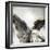 New Orleans Angel I-Ingrid Blixt-Framed Premium Giclee Print