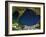 New Orleans Before Hurricane Katrina-PLANETOBSERVER-Framed Photographic Print