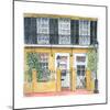 New Orleans, Dauphine St., 2008-Anthony Butera-Mounted Giclee Print