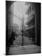 Premium Photographic Print