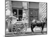 New Orleans, La., a Typical Milk Cart-null-Mounted Photo