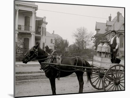 New Orleans Milk Cart, New Orleans, Louisiana-null-Mounted Photo