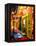 New Orleans Nights-Diane Millsap-Framed Stretched Canvas