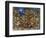 New Orleans-Bill Bell-Framed Giclee Print