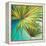 New Palmera II-Patricia Pinto-Framed Stretched Canvas