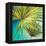 New Palmera II-Patricia Pinto-Framed Stretched Canvas