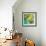 New Palmera II-Patricia Pinto-Framed Premium Giclee Print displayed on a wall