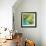 New Palmera II-Patricia Pinto-Framed Premium Giclee Print displayed on a wall