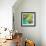 New Palmera II-Patricia Pinto-Framed Premium Giclee Print displayed on a wall