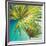 New Palmera II-Patricia Pinto-Framed Premium Giclee Print