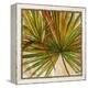 New Palmera Take Two I-Patricia Pinto-Framed Stretched Canvas