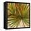 New Palmera Take Two I-Patricia Pinto-Framed Stretched Canvas