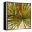 New Palmera Take Two I-Patricia Pinto-Framed Stretched Canvas