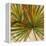 New Palmera Take Two I-Patricia Pinto-Framed Stretched Canvas