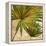 New Palmera Take Two II-Patricia Pinto-Framed Stretched Canvas