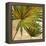 New Palmera Take Two II-Patricia Pinto-Framed Stretched Canvas