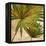 New Palmera Take Two II-Patricia Pinto-Framed Stretched Canvas