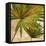 New Palmera Take Two II-Patricia Pinto-Framed Stretched Canvas