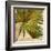 New Palmera Take Two II-Patricia Pinto-Framed Art Print