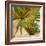 New Palmera Take Two II-Patricia Pinto-Framed Art Print