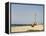 New Pier Under Construction, Santa Maria, Sal (Salt), Cape Verde Islands, Africa-R H Productions-Framed Premier Image Canvas