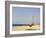 New Pier Under Construction, Santa Maria, Sal (Salt), Cape Verde Islands, Africa-R H Productions-Framed Photographic Print