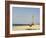 New Pier Under Construction, Santa Maria, Sal (Salt), Cape Verde Islands, Africa-R H Productions-Framed Photographic Print