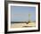 New Pier Under Construction, Santa Maria, Sal (Salt), Cape Verde Islands, Africa-R H Productions-Framed Photographic Print