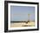 New Pier Under Construction, Santa Maria, Sal (Salt), Cape Verde Islands, Africa-R H Productions-Framed Photographic Print