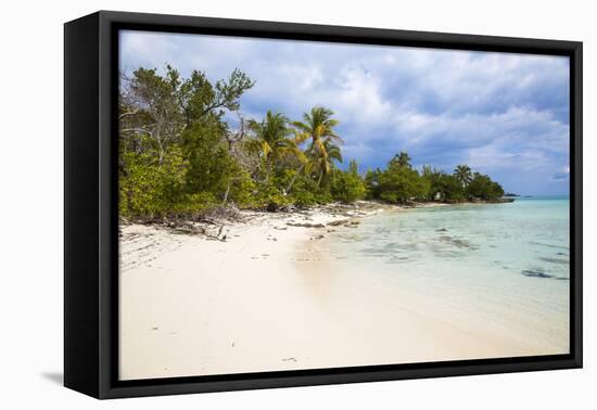 New Plymouth, beach, Green Turtle Cay, Abaco Islands, Bahamas, West Indies, Central America-Jane Sweeney-Framed Premier Image Canvas