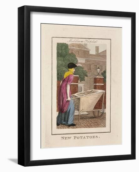 New Potatoes, Cries of London, 1804-William Marshall Craig-Framed Giclee Print