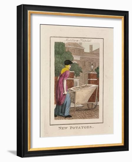 New Potatoes, Cries of London, 1804-William Marshall Craig-Framed Giclee Print