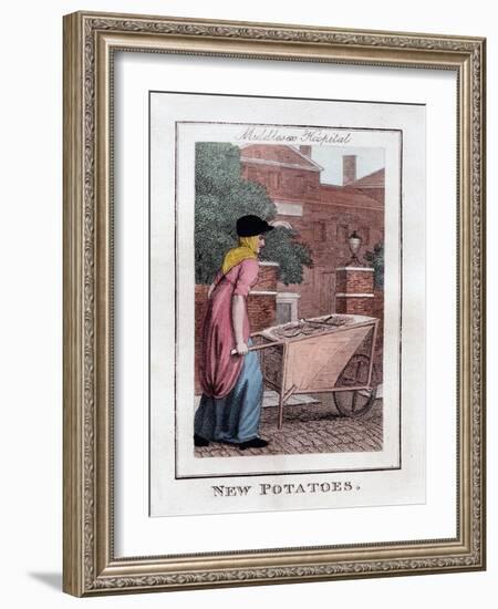 New Potatoes, Middlesex Hospital, London, 1805-null-Framed Giclee Print